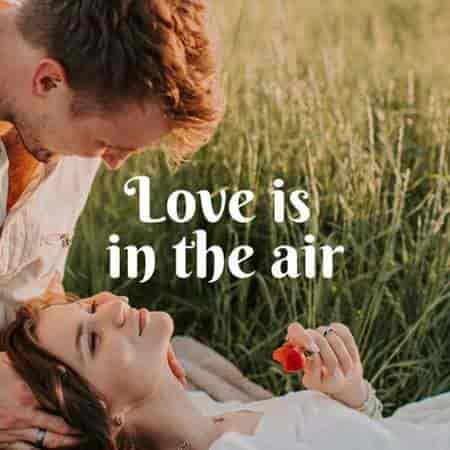 Love is in the air (2023) торрент