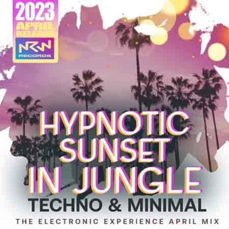 Hypnotic Sunset In Jungle (2023) торрент