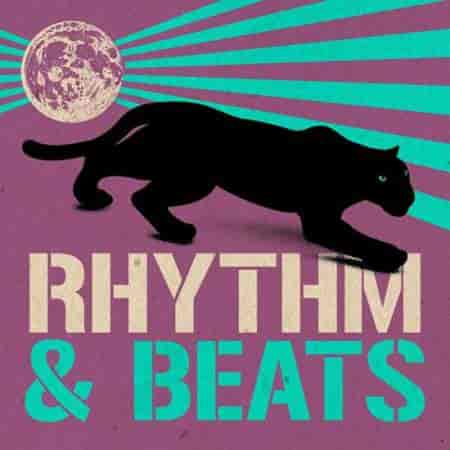 Rhythm & Beats (2023) торрент
