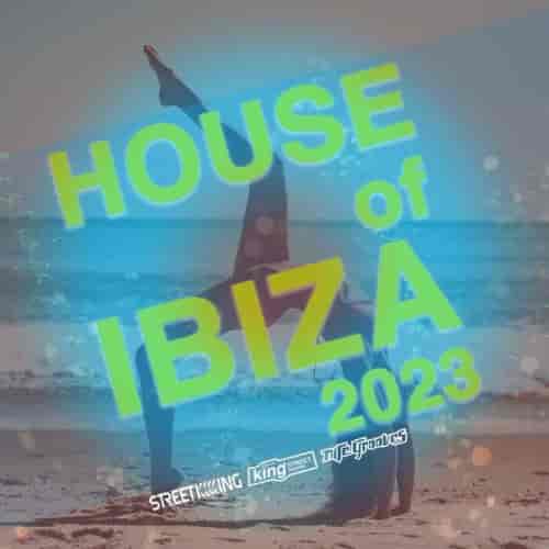 House Of Ibiza 2023 (2023) торрент