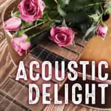 Acoustic Delight (2023) торрент