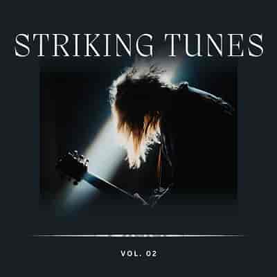 Striking Tunes Vol 2 (2023) торрент