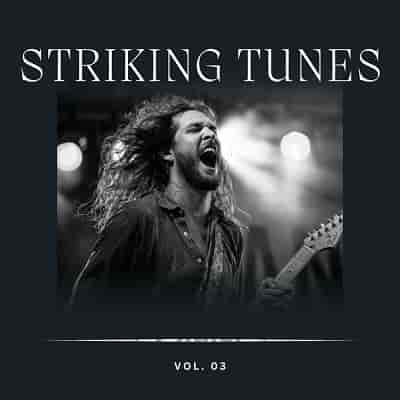 Striking Tunes Vol 3 (2023) торрент