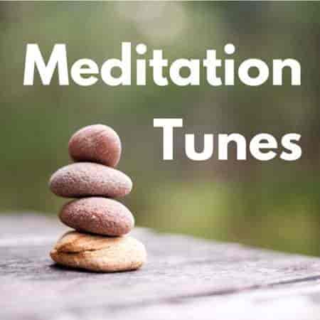 Meditation Tunes (2023) торрент