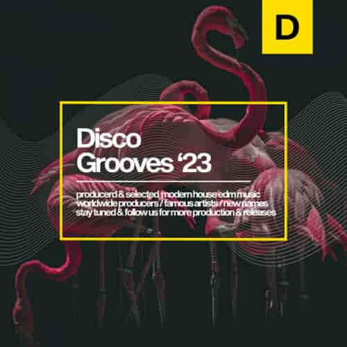Disco Grooves 2023 (2023) торрент