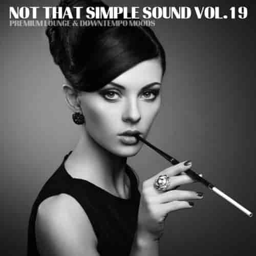 Not That Simple Sound, Vol. 19 (2023) торрент