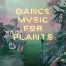 Dance Music for Plants (2023) торрент