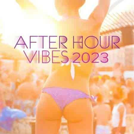 After Hour Vibes (2023) торрент