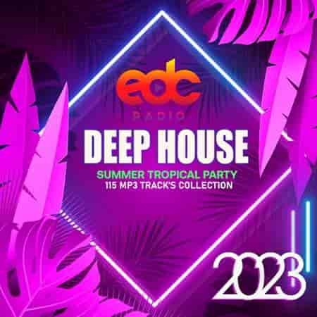 Deep House: Summer Tropical Party (2023) торрент