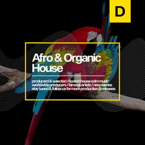 Afro & Organic House 2023 (2023) торрент