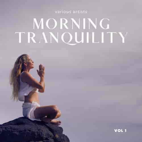 Morning Tranquility, Vol. 1 (2023) торрент