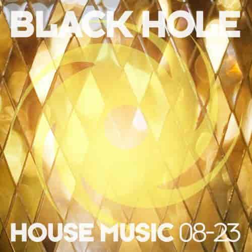 Black Hole House Music 08-23 (2023) торрент