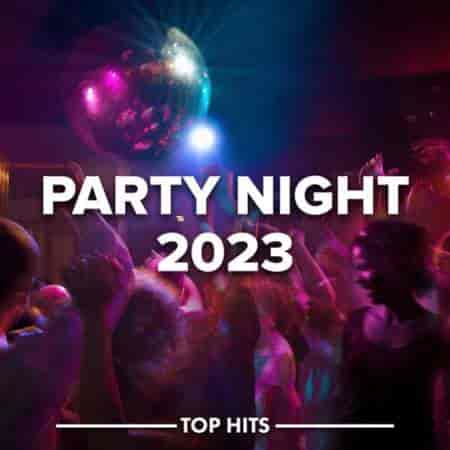 Party Night (2023) торрент