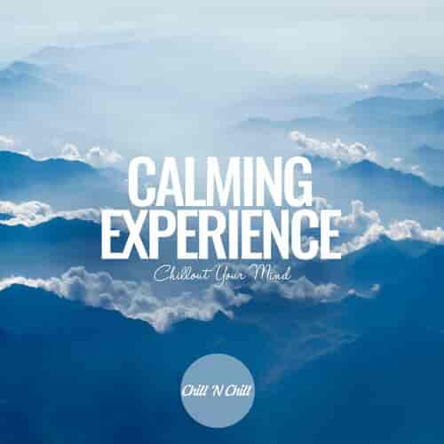 Calming Experience: Chillout Your Mind (2023) торрент