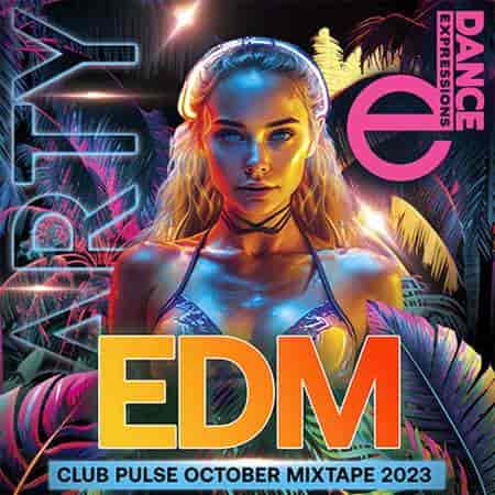 EDM Clubbing Pulse Music (2023) торрент