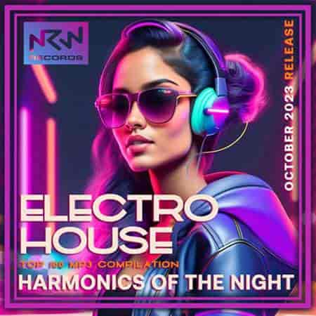 Electro House: Harmonics Of The Night (2023) торрент