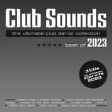 Club Sounds Best Of 2023 (3CD) (2023) торрент