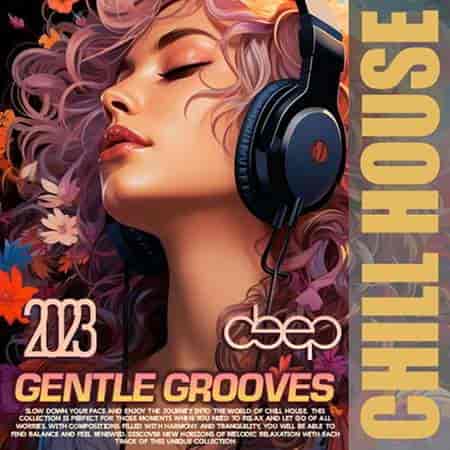 Deep Gentle Grooves (2023) торрент