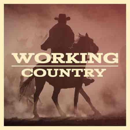 Working Country (2023) торрент