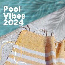 Pool Vibes 2024 (2024) торрент