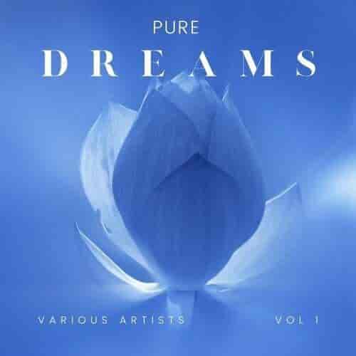 Pure Dreams, Vol. 1 (2024) торрент