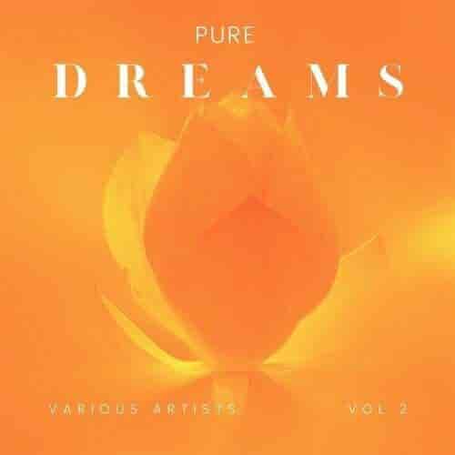 Pure Dreams, Vol. 2 (2024) торрент