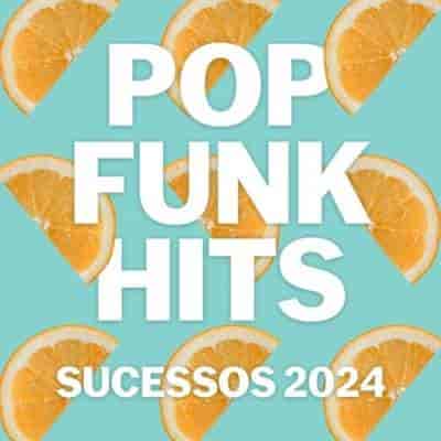 Pop Funk Hits - Sucessos (2024) торрент