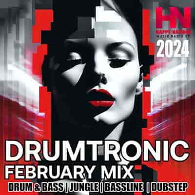 Drumtronic February Mix (2024) торрент