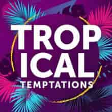 Tropical Temptations (2024) торрент
