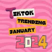 Tik Tok Trending January 2024 (2024) торрент