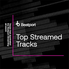 Top Streamed Tracks (2024) торрент