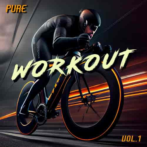 Pure Workout Vol.1 (2024) торрент