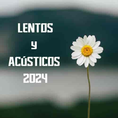 Lentos y acusticos 2024 (2024) торрент