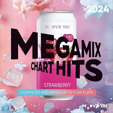 Megamix Chart Hits 2024 (Compiled and Mixed by Flim Flam) (2024) торрент