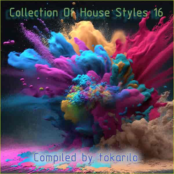 Collection Of House Styles 16 [Compiled by tokarilo] (2024) торрент