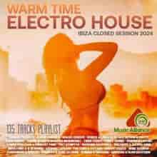 Warm Time Electro House (2024) торрент