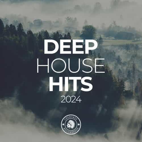 Deep House Hits 2024 (2024) торрент