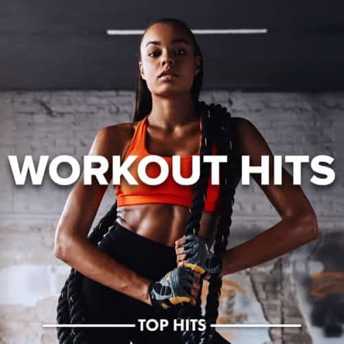 WORKOUT HITS (2024) торрент