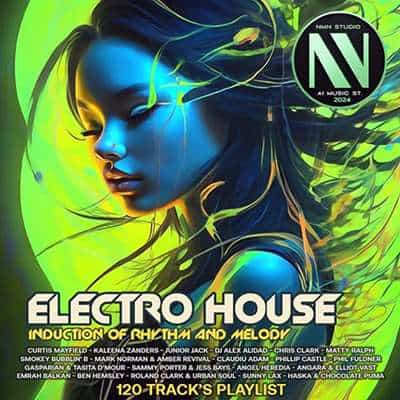 Induction Of Rhythms Electro House (2024) торрент