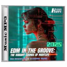 EDM In The Groove: Edition 02 (2025) торрент