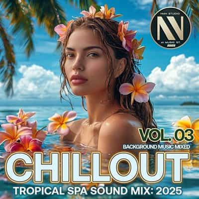 Chillout Tropical SPA Sound Mix, Vol. 03 (2025) торрент