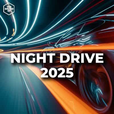 Night Drive 2025 (2024) торрент