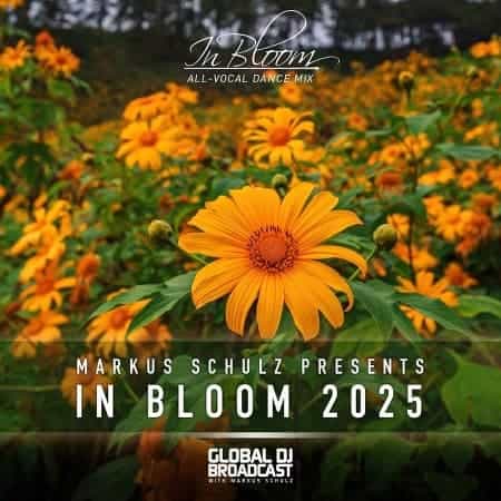 Markus Schulz - In Bloom 2025 (Vocal Dance Mix) (2025) Markus Schulz - In Bloom 2025 (Vocal Dance Mix) (2025) торрент