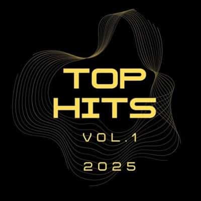 TOP HITS VOL.1 (2025) торрент