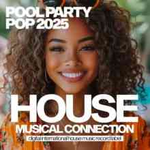 Pool Party Pop (2025) торрент